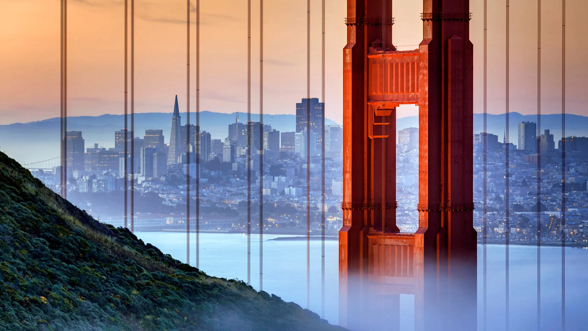 Cover Image of the Post