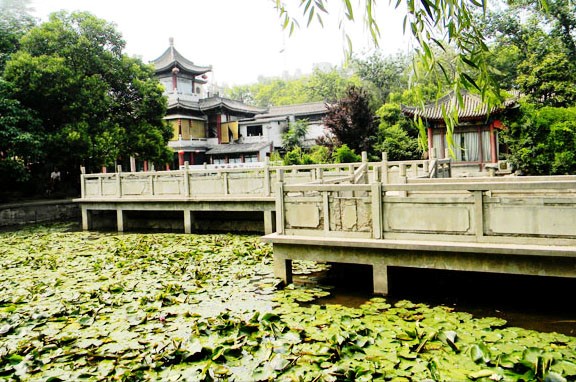 莲湖公园
